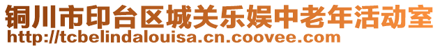 銅川市印臺(tái)區(qū)城關(guān)樂娛中老年活動(dòng)室