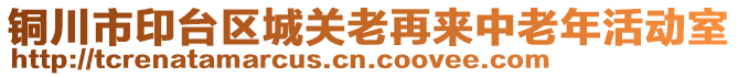 銅川市印臺區(qū)城關老再來中老年活動室