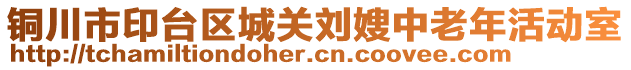 銅川市印臺區(qū)城關(guān)劉嫂中老年活動(dòng)室