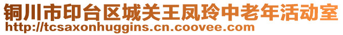 銅川市印臺區(qū)城關王鳳玲中老年活動室