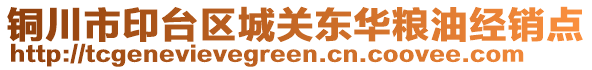 銅川市印臺區(qū)城關東華糧油經銷點