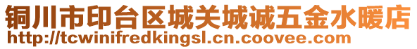 銅川市印臺區(qū)城關(guān)城誠五金水暖店