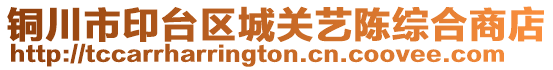 銅川市印臺區(qū)城關藝陳綜合商店