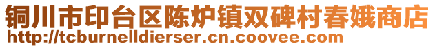 铜川市印台区陈炉镇双碑村春娥商店