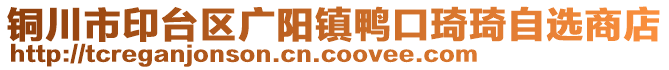 銅川市印臺(tái)區(qū)廣陽鎮(zhèn)鴨口琦琦自選商店