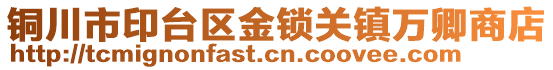 銅川市印臺區(qū)金鎖關鎮(zhèn)萬卿商店