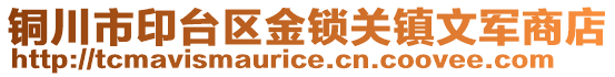 銅川市印臺區金鎖關鎮文軍商店