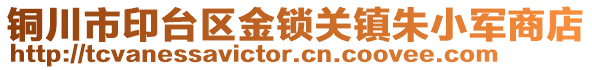 銅川市印臺區(qū)金鎖關(guān)鎮(zhèn)朱小軍商店