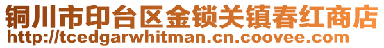 銅川市印臺(tái)區(qū)金鎖關(guān)鎮(zhèn)春紅商店