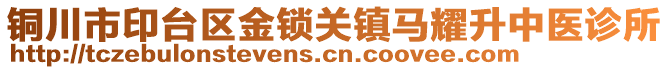 銅川市印臺(tái)區(qū)金鎖關(guān)鎮(zhèn)馬耀升中醫(yī)診所