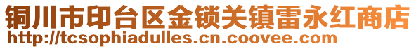 銅川市印臺(tái)區(qū)金鎖關(guān)鎮(zhèn)雷永紅商店