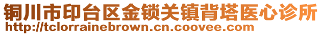 銅川市印臺區(qū)金鎖關(guān)鎮(zhèn)背塔醫(yī)心診所