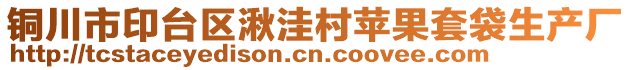 銅川市印臺(tái)區(qū)湫洼村蘋(píng)果套袋生產(chǎn)廠