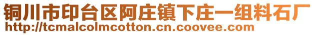 銅川市印臺區阿莊鎮下莊一組料石廠