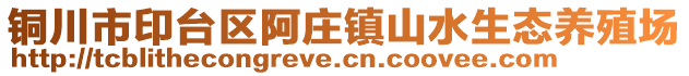 銅川市印臺區阿莊鎮山水生態養殖場