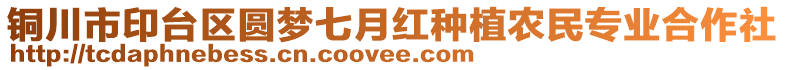 銅川市印臺區(qū)圓夢七月紅種植農(nóng)民專業(yè)合作社