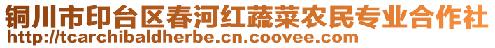 銅川市印臺區(qū)春河紅蔬菜農(nóng)民專業(yè)合作社