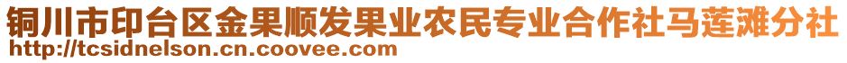 銅川市印臺區(qū)金果順發(fā)果業(yè)農(nóng)民專業(yè)合作社馬蓮灘分社