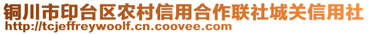 銅川市印臺區(qū)農村信用合作聯社城關信用社