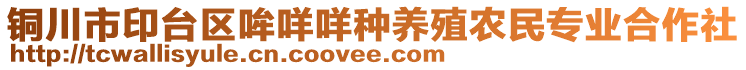 銅川市印臺(tái)區(qū)哞咩咩種養(yǎng)殖農(nóng)民專業(yè)合作社