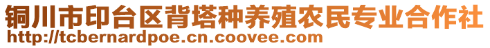 銅川市印臺(tái)區(qū)背塔種養(yǎng)殖農(nóng)民專(zhuān)業(yè)合作社