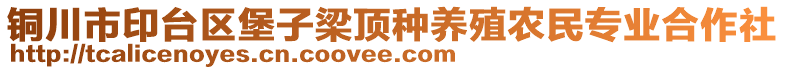 銅川市印臺區堡子梁頂種養殖農民專業合作社