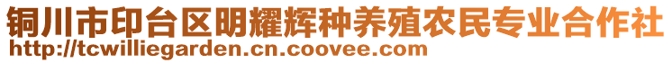 銅川市印臺區明耀輝種養殖農民專業合作社
