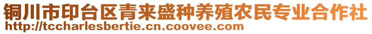 銅川市印臺區(qū)青來盛種養(yǎng)殖農(nóng)民專業(yè)合作社