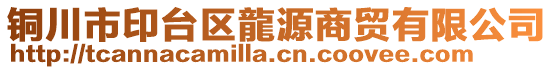 銅川市印臺區(qū)龍源商貿(mào)有限公司