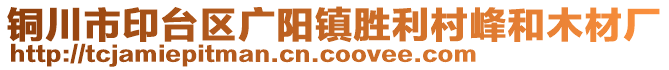 銅川市印臺區(qū)廣陽鎮(zhèn)勝利村峰和木材廠