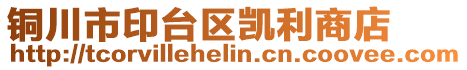 銅川市印臺(tái)區(qū)凱利商店