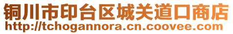 銅川市印臺(tái)區(qū)城關(guān)道口商店