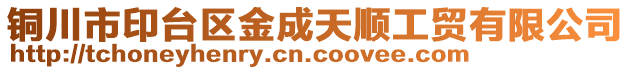 銅川市印臺區金成天順工貿有限公司