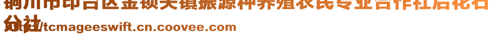 銅川市印臺(tái)區(qū)金鎖關(guān)鎮(zhèn)振源種養(yǎng)殖農(nóng)民專業(yè)合作社后花石
分社