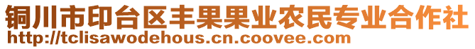 銅川市印臺區豐果果業農民專業合作社