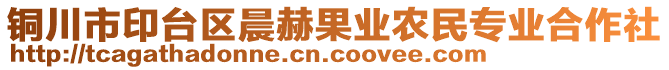 銅川市印臺(tái)區(qū)晨赫果業(yè)農(nóng)民專業(yè)合作社