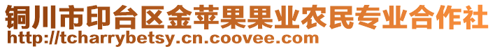 銅川市印臺區(qū)金蘋果果業(yè)農(nóng)民專業(yè)合作社