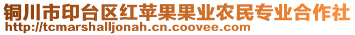 銅川市印臺(tái)區(qū)紅蘋(píng)果果業(yè)農(nóng)民專業(yè)合作社