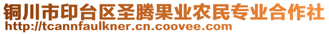 銅川市印臺區(qū)圣騰果業(yè)農(nóng)民專業(yè)合作社