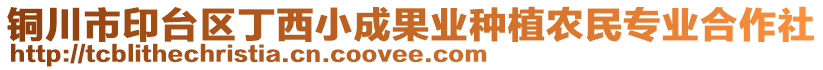 銅川市印臺區(qū)丁西小成果業(yè)種植農(nóng)民專業(yè)合作社