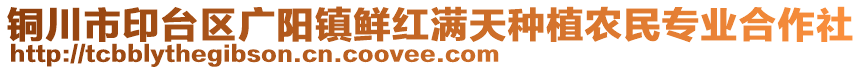 銅川市印臺區(qū)廣陽鎮(zhèn)鮮紅滿天種植農(nóng)民專業(yè)合作社