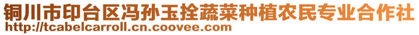 銅川市印臺(tái)區(qū)馮孫玉拴蔬菜種植農(nóng)民專業(yè)合作社