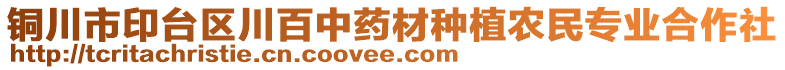 銅川市印臺(tái)區(qū)川百中藥材種植農(nóng)民專(zhuān)業(yè)合作社