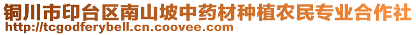 銅川市印臺區(qū)南山坡中藥材種植農民專業(yè)合作社