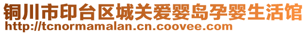 銅川市印臺區(qū)城關愛嬰島孕嬰生活館