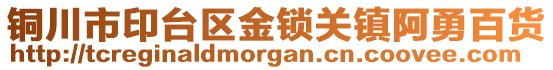 銅川市印臺(tái)區(qū)金鎖關(guān)鎮(zhèn)阿勇百貨