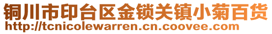 銅川市印臺(tái)區(qū)金鎖關(guān)鎮(zhèn)小菊百貨