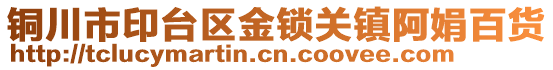 銅川市印臺(tái)區(qū)金鎖關(guān)鎮(zhèn)阿娟百貨