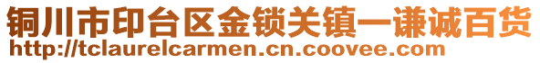 銅川市印臺區(qū)金鎖關鎮(zhèn)一謙誠百貨