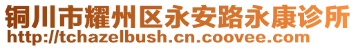 銅川市耀州區(qū)永安路永康診所